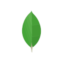 MongoDB